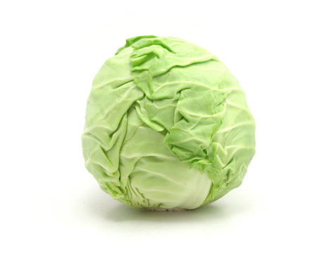 cabbage3-clean-lg.jpg